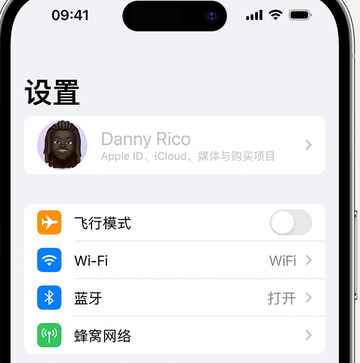 秦淮appleID维修服务iPhone设置中Apple ID显示为灰色无法使用