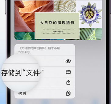 秦淮apple维修中心分享iPhone文件应用中存储和找到下载文件