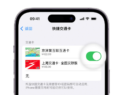 秦淮apple维修点分享iPhone上更换Apple Pay快捷交通卡手绘卡面 