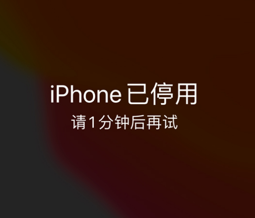 秦淮苹果手机维修分享:iPhone 显示“不可用”或“已停用”怎么办？还能保留数据吗？ 