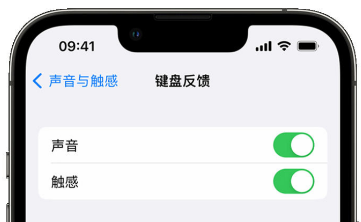 秦淮苹果手机维修分享iPhone 14触感键盘使用方法 
