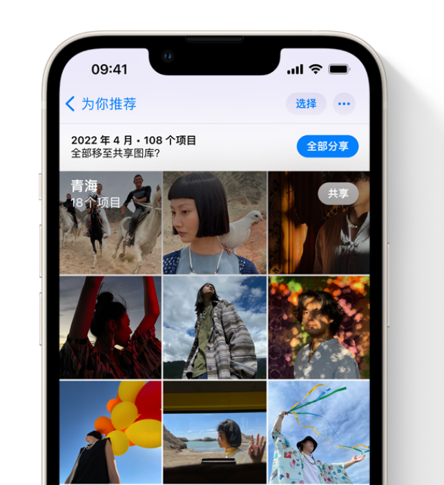 秦淮苹果维修网点分享在 iPhone 上使用共享图库 