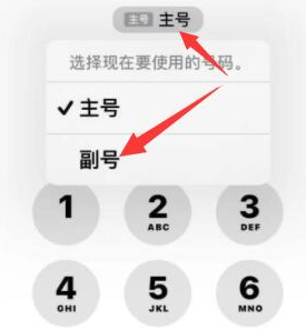 秦淮苹果14维修店分享iPhone 14 Pro Max使用副卡打电话的方法 