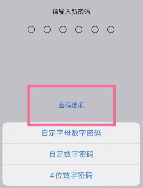 秦淮苹果14维修分享iPhone 14plus设置密码的方法 