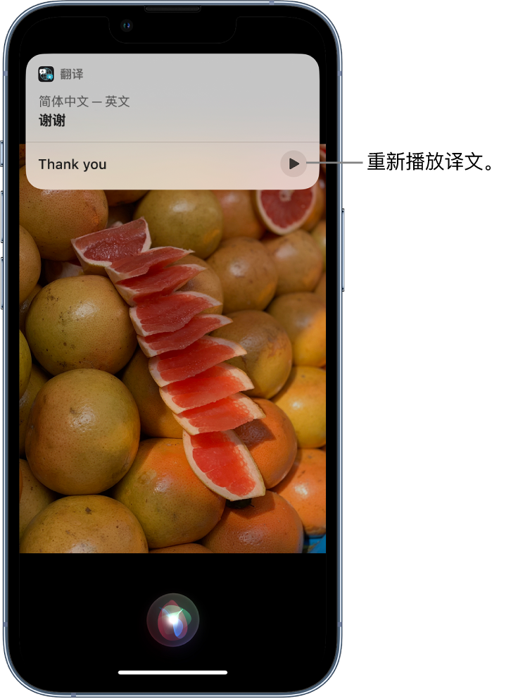 秦淮苹果14维修分享 iPhone 14 机型中使用 Siri：了解 Siri 能帮你做什么 