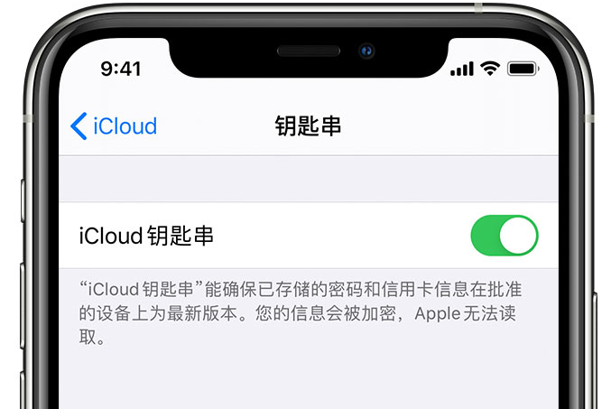 秦淮苹果手机维修分享在 iPhone 上开启 iCloud 钥匙串之后会储存哪些信息 